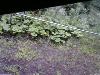 長野県菅平高原 ゆたか山荘 駐車場 2026/07/28 18:15