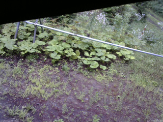 長野県菅平高原 ゆたか山荘 駐車場 2026/07/28 18:30