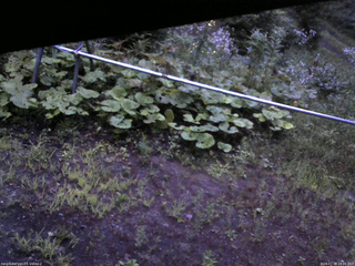 長野県菅平高原 ゆたか山荘 駐車場 2026/07/28 19:00
