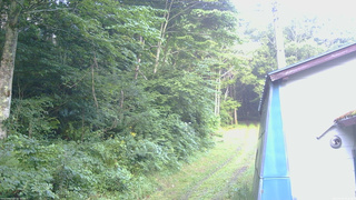 長野県菅平高原 ゆたか山荘 ゆたか山荘 2026/07/28 05:30