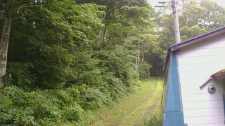 長野県菅平高原 ゆたか山荘 ゆたか山荘 2026/07/28 15:45