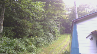 長野県菅平高原 ゆたか山荘 ゆたか山荘 2026/07/28 17:45