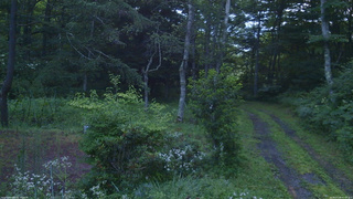 長野県菅平高原 ゆたか山荘 坂上 2026/07/28 05:00