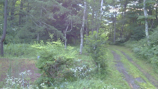 長野県菅平高原 ゆたか山荘 坂上 2026/07/28 05:15