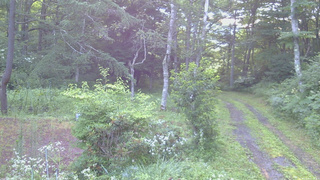 長野県菅平高原 ゆたか山荘 坂上 2026/07/28 05:30