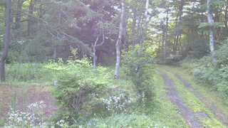 長野県菅平高原 ゆたか山荘 坂上 2026/07/28 05:45