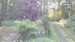 長野県菅平高原 ゆたか山荘 坂上 2026/07/28 06:00