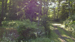 長野県菅平高原 ゆたか山荘 坂上 2026/07/28 07:15