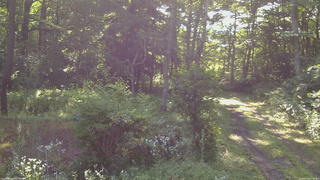 長野県菅平高原 ゆたか山荘 坂上 2026/07/28 07:30