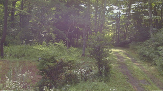 長野県菅平高原 ゆたか山荘 坂上 2026/07/28 08:00