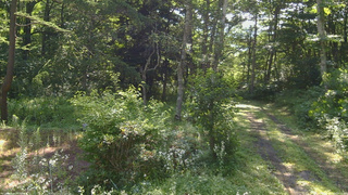 長野県菅平高原 ゆたか山荘 坂上 2026/07/28 08:15