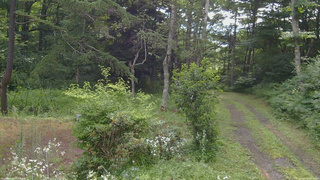 長野県菅平高原 ゆたか山荘 坂上 2026/07/28 08:30