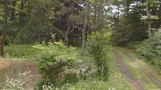 長野県菅平高原 ゆたか山荘 坂上 2026/07/28 08:45
