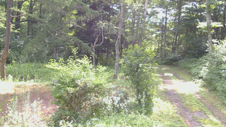 長野県菅平高原 ゆたか山荘 坂上 2026/07/28 09:00