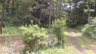 長野県菅平高原 ゆたか山荘 坂上 2026/07/28 09:45