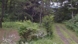 長野県菅平高原 ゆたか山荘 坂上 2026/07/28 10:00