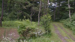 長野県菅平高原 ゆたか山荘 坂上 2026/07/28 10:15