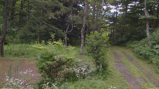 長野県菅平高原 ゆたか山荘 坂上 2026/07/28 10:30