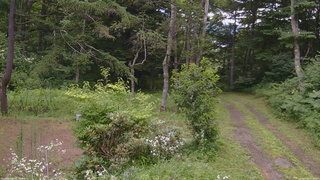 長野県菅平高原 ゆたか山荘 坂上 2026/07/28 10:45