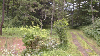 長野県菅平高原 ゆたか山荘 坂上 2026/07/28 11:00
