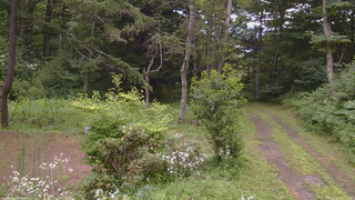 長野県菅平高原 ゆたか山荘 坂上 2026/07/28 11:15