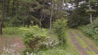 長野県菅平高原 ゆたか山荘 坂上 2026/07/28 11:30