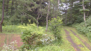 長野県菅平高原 ゆたか山荘 坂上 2026/07/28 11:45