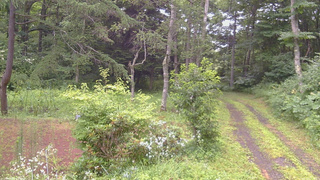 長野県菅平高原 ゆたか山荘 坂上 2026/07/28 12:00