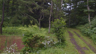 長野県菅平高原 ゆたか山荘 坂上 2026/07/28 12:15
