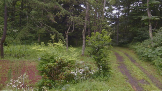 長野県菅平高原 ゆたか山荘 坂上 2026/07/28 12:30