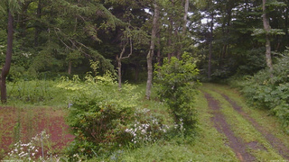 長野県菅平高原 ゆたか山荘 坂上 2026/07/28 12:45