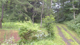 長野県菅平高原 ゆたか山荘 坂上 2026/07/28 13:00