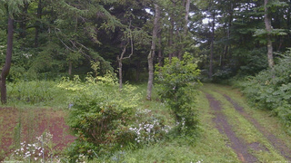 長野県菅平高原 ゆたか山荘 坂上 2026/07/28 13:15