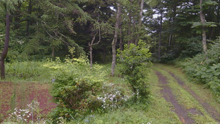 長野県菅平高原 ゆたか山荘 坂上 2026/07/28 13:30