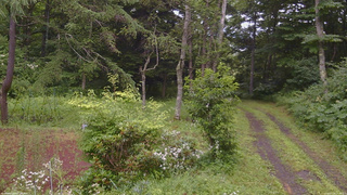 長野県菅平高原 ゆたか山荘 坂上 2026/07/28 13:45