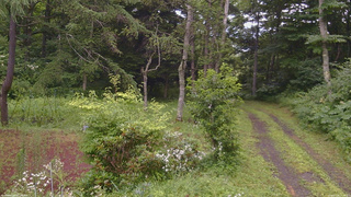 長野県菅平高原 ゆたか山荘 坂上 2026/07/28 14:00