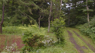 長野県菅平高原 ゆたか山荘 坂上 2026/07/28 14:15