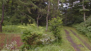 長野県菅平高原 ゆたか山荘 坂上 2026/07/28 14:30