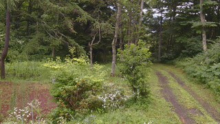 長野県菅平高原 ゆたか山荘 坂上 2026/07/28 14:45