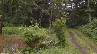 長野県菅平高原 ゆたか山荘 坂上 2026/07/28 15:00