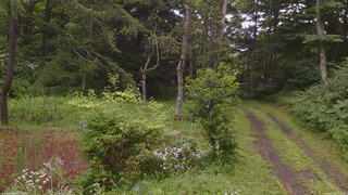 長野県菅平高原 ゆたか山荘 坂上 2026/07/28 15:15