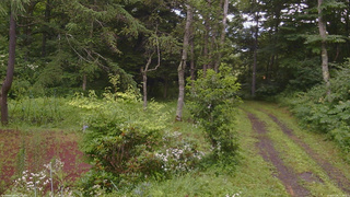 長野県菅平高原 ゆたか山荘 坂上 2026/07/28 15:30
