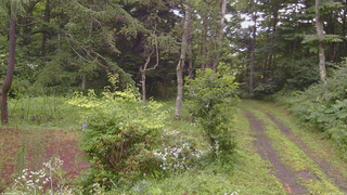 長野県菅平高原 ゆたか山荘 坂上 2026/07/28 15:45