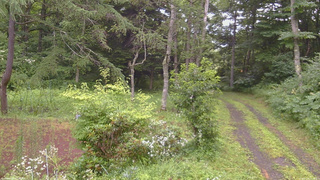 長野県菅平高原 ゆたか山荘 坂上 2026/07/28 16:00