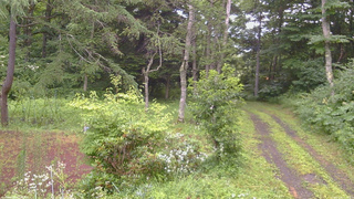 長野県菅平高原 ゆたか山荘 坂上 2026/07/28 16:15