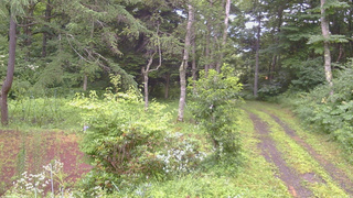 長野県菅平高原 ゆたか山荘 坂上 2026/07/28 16:30