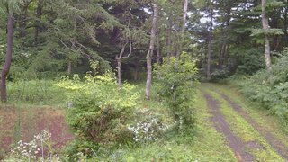 長野県菅平高原 ゆたか山荘 坂上 2026/07/28 16:45
