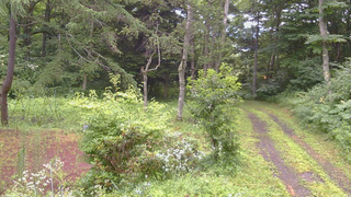長野県菅平高原 ゆたか山荘 坂上 2026/07/28 17:00