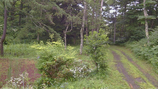 長野県菅平高原 ゆたか山荘 坂上 2026/07/28 17:15