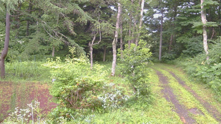長野県菅平高原 ゆたか山荘 坂上 2026/07/28 17:30